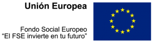 FSE_logo-300x84